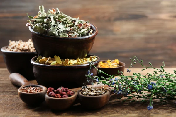 Natürliche Blüten- und Kräuterauswahl — Stockfoto