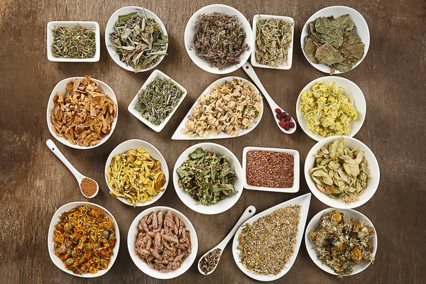 Natural flower and herb selection — Stock Photo, Image