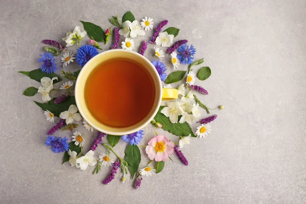 Kopje thee met verse bloemen — Stockfoto
