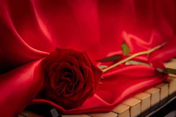 Rosa rossa con panno rosso — Foto Stock