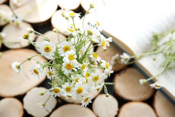 テーブルの上のカモミールの花束 — ストック写真