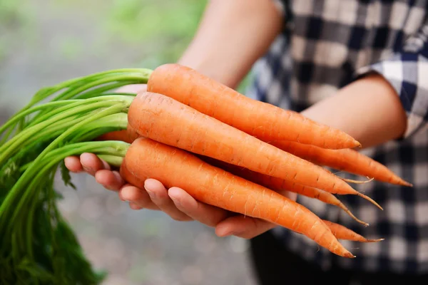 Mujer sosteniendo zanahorias — Foto de Stock