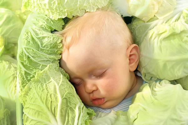 Baby in groene koolbladeren — Stockfoto