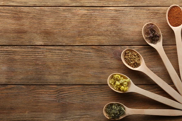 Dried healing herbs and seeds — Stock Photo, Image