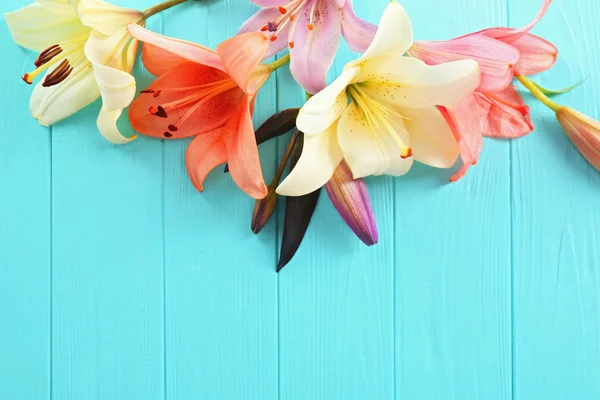 Krásná lilie na pozadí — Stock fotografie