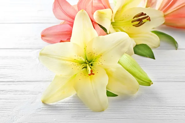 Beautiful lilies on background — Stock Photo, Image