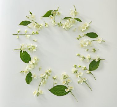 taze Yasemin çiçekleri 