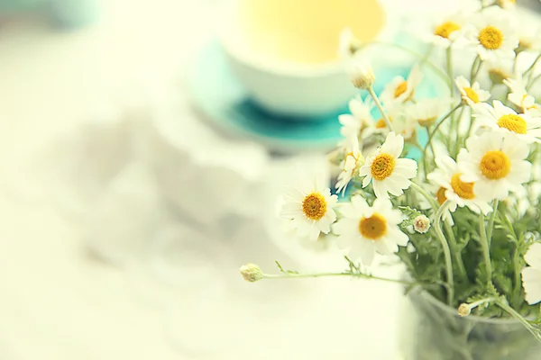 新鮮な鎮静の花束 — ストック写真