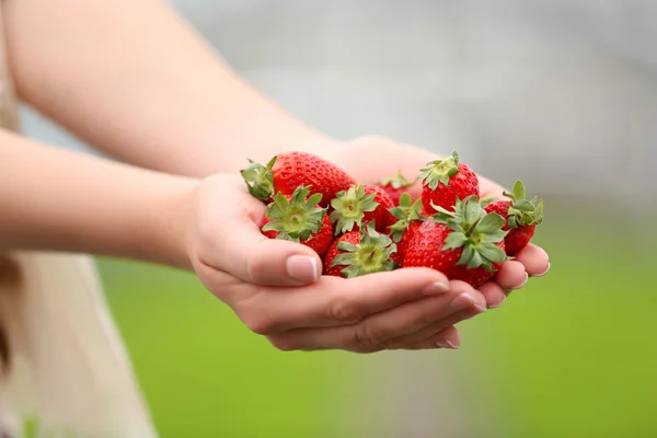 Θηλυκό τα χέρια εκμετάλλευσης φράουλες — Φωτογραφία Αρχείου