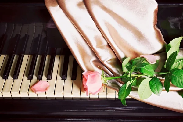 Rosa em teclas de piano — Fotografia de Stock