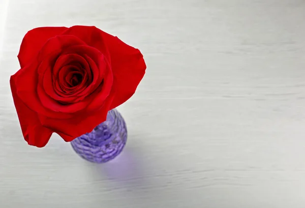 Czerwona róża na stole — Zdjęcie stockowe