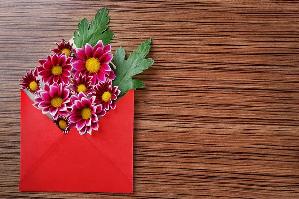 Chrysanthemum in envelope on table — Stock Photo, Image