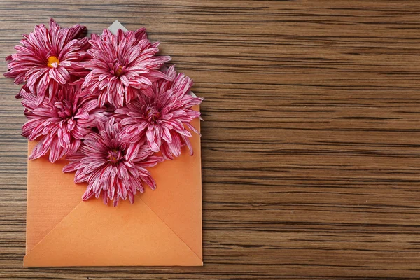 テーブル上の封筒の菊 — ストック写真