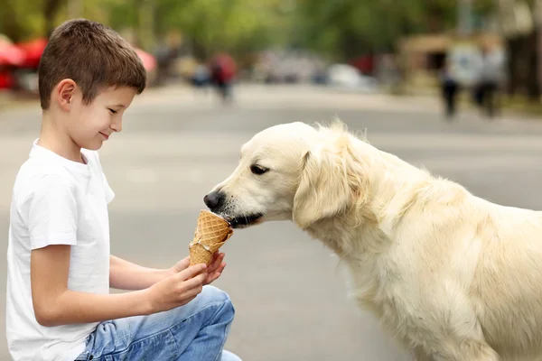 Junge füttert süßen Hund mit Eis — Stockfoto