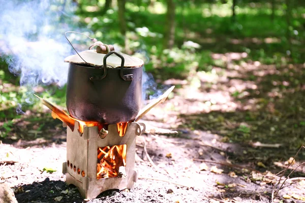 Cocinar en llamas en la naturaleza — Foto de Stock