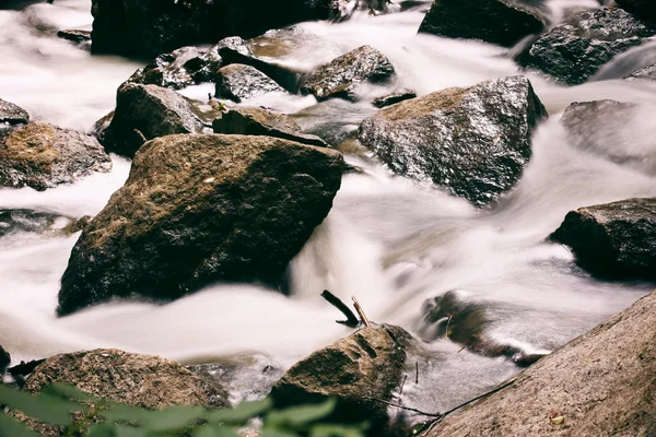 Creek com rochas em uma floresta — Fotografia de Stock