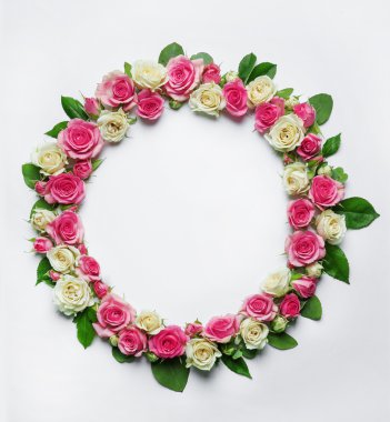 Çeşitli gül başkanları