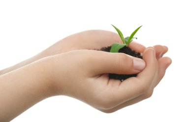 toprak ve bitki holding 