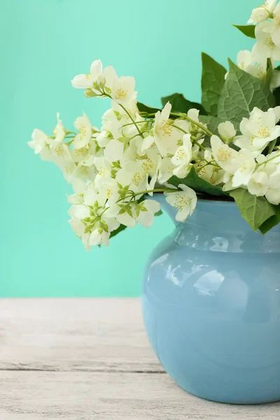 Verse jasmijn bloemen — Stockfoto