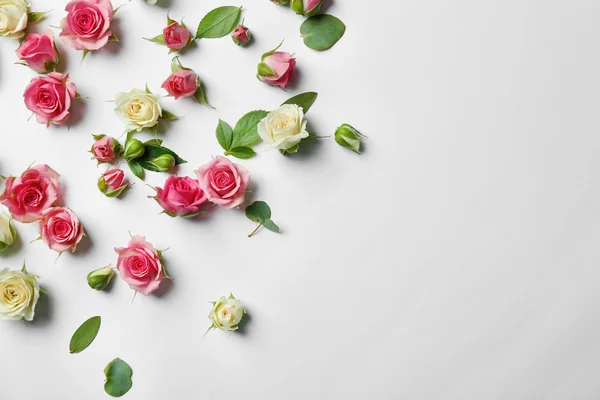 Rosenköpfe sortiert — Stockfoto