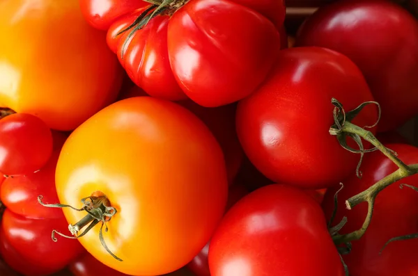 Verschillende hele sappige tomaten — Stockfoto