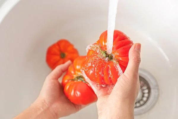 Femme laver les tomates à la main — Photo