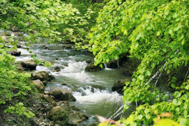 Muhteşem dağ Nehri