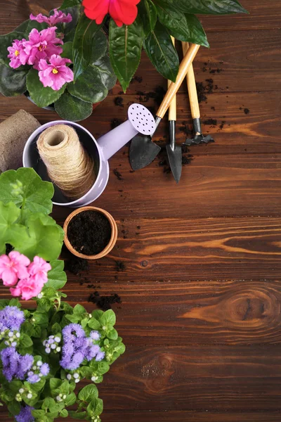 Gardening tools and flowers — Stock Photo, Image