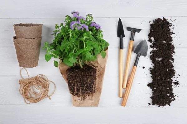 Gardening tools and flowers — Stock Photo, Image