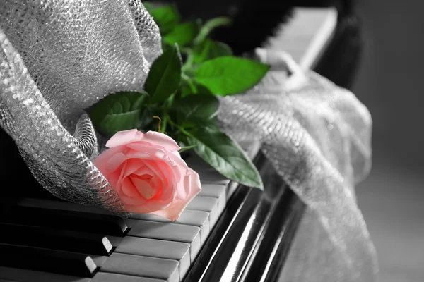 Розовая роза на клавишах пианино — стоковое фото