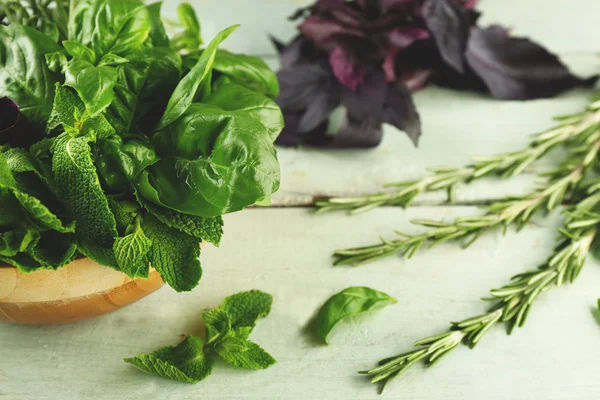 Basil, rosemary and mint herbs — Stock Photo, Image