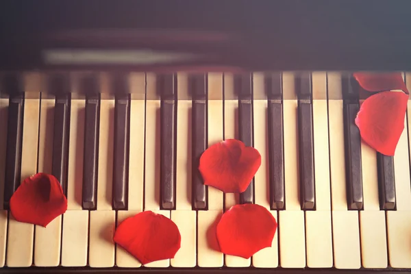Bloemblaadjes op piano toetsen — Stockfoto