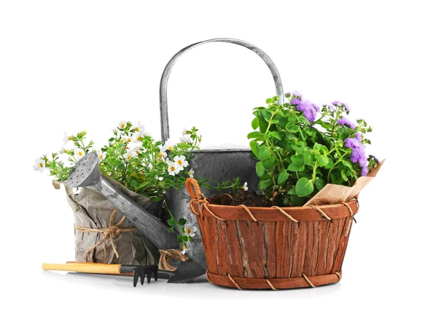 Narzędzia ogrodnicze i kwiaty — Zdjęcie stockowe