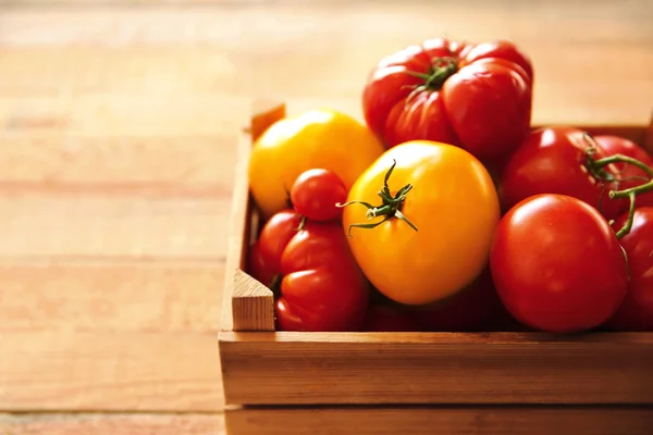 Olika tomater i rutan — Stockfoto