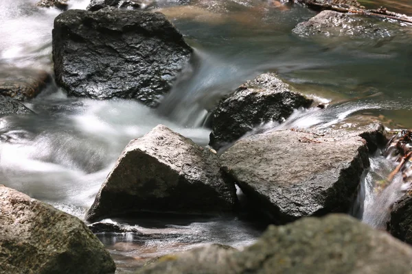 Creek z kamieniami w lesie — Zdjęcie stockowe