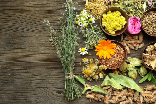 Seleção de ervas e flores frescas — Fotografia de Stock