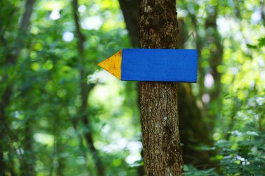 Ağaç bir işareti oklu