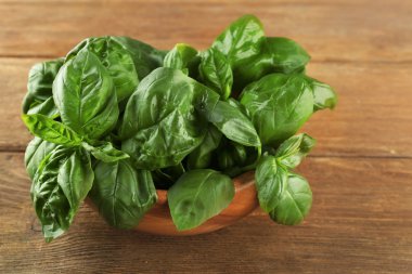 Taze fesleğen demet