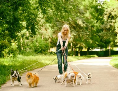 Köpekleri gezdiren kadın