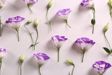 Güzel Çiçekler arka planı  