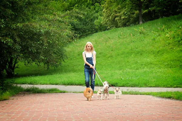 Donna cani da passeggio — Foto Stock