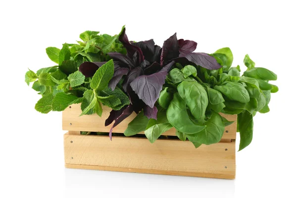 Basil and mint spices in wooden box — Stock Photo, Image