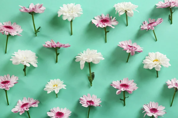 Beautiful flowers background — Stock Photo, Image