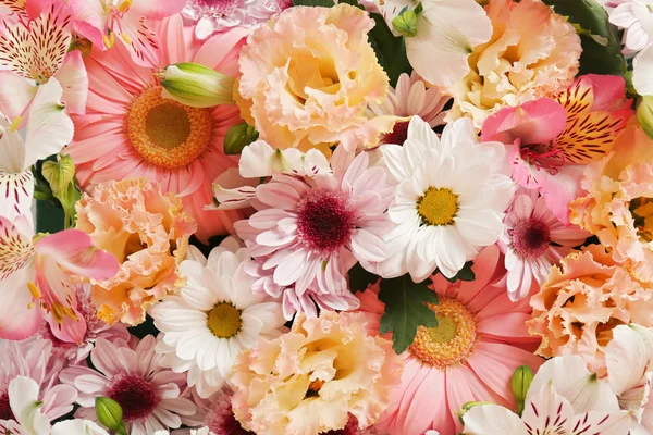 Beautiful flowers background — Stock Photo, Image