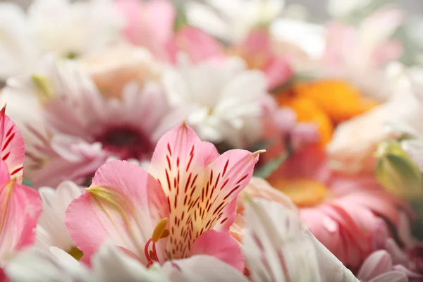 Beautiful flowers background — Stock Photo, Image