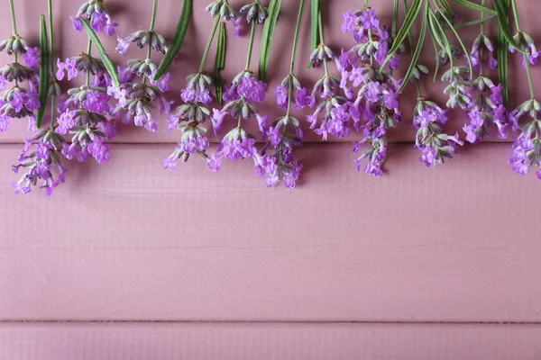 Flores de lavanda em fundo de madeira — Fotografia de Stock