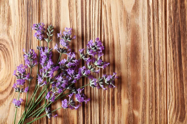 Lavender λουλούδια σε φόντο — Φωτογραφία Αρχείου