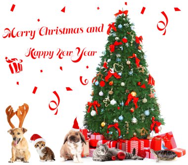 Komik Noel hayvanlar