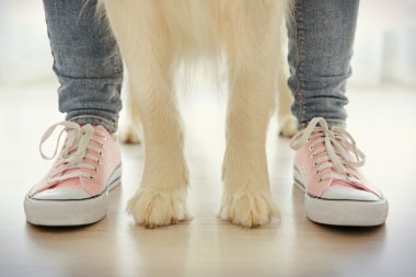 Çocuk ve köpeği katta