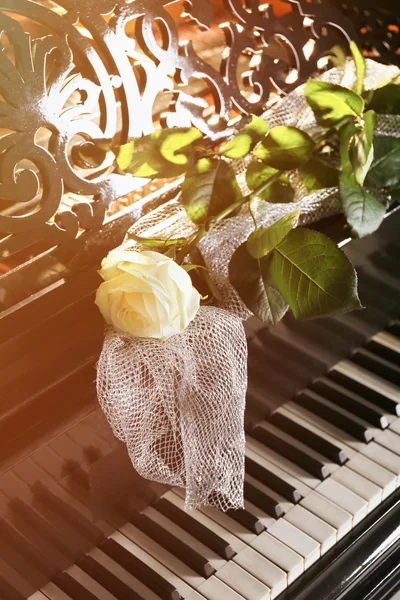 Krásná bílá růže s ozdobnými látkovými — Stock fotografie